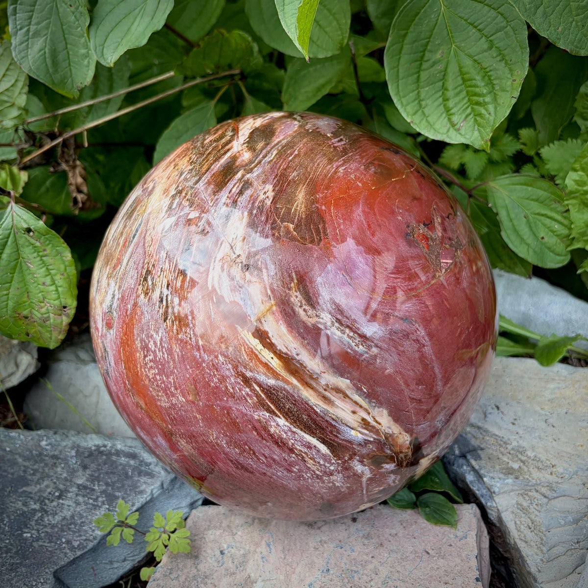 XL Petrified Wood Sphere | 14.48kg Red Fossil Wood | Statement Mineral Specimen