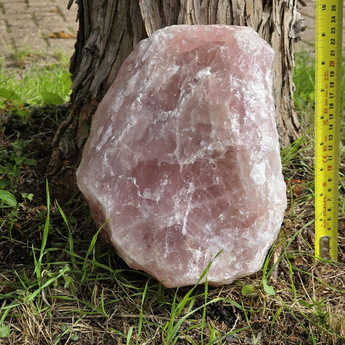 XL Raw Rose Quartz Crystal Rough Natural | 10.3kg