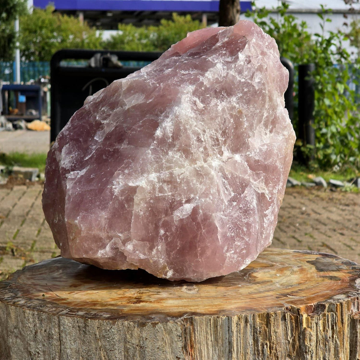 XL Raw Rose Quartz Crystal Rough Natural | 18.7kg