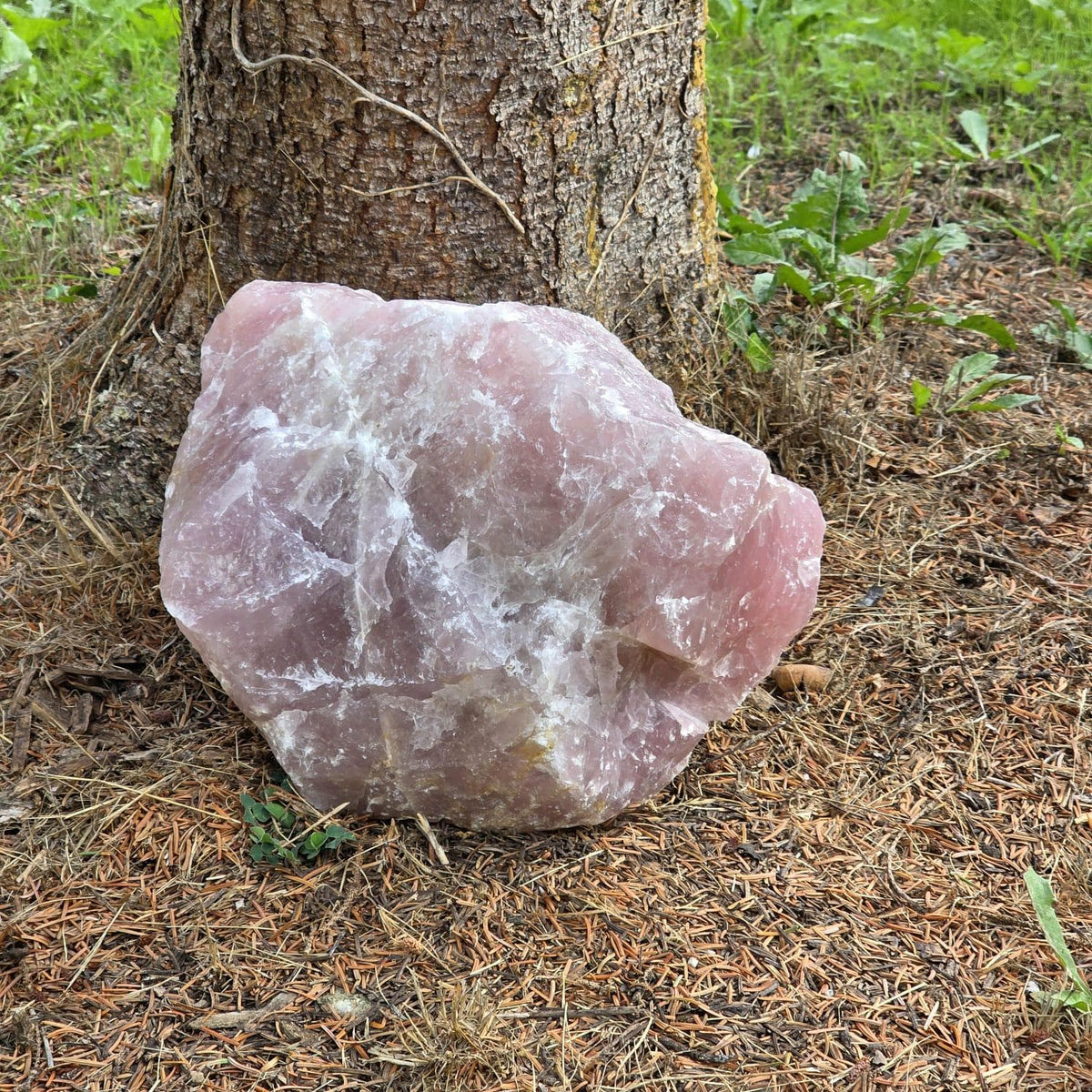 XL Raw Rose Quartz Crystal Rough Natural | 18.7kg