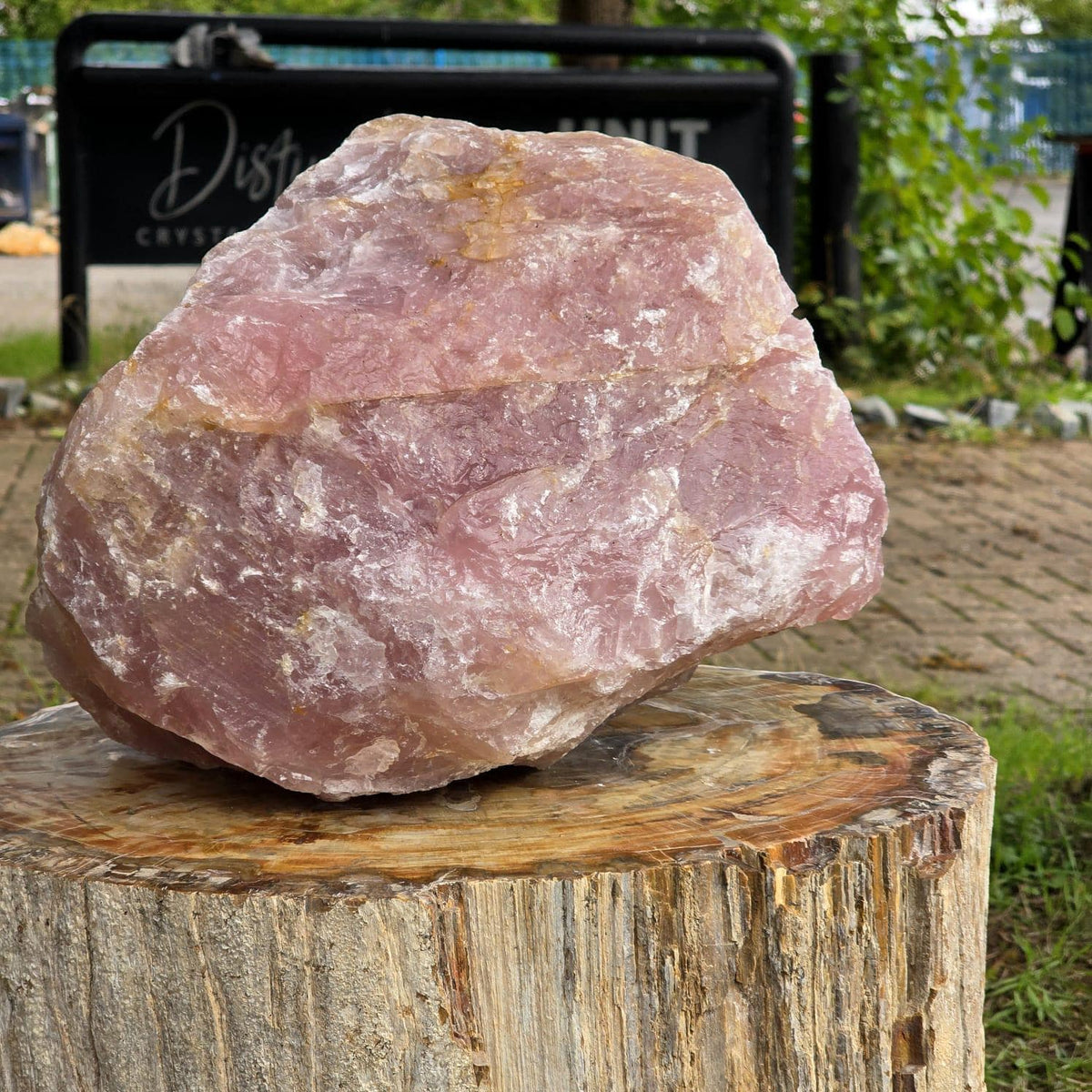 XL Raw Rose Quartz Crystal Rough Natural | 18.7kg