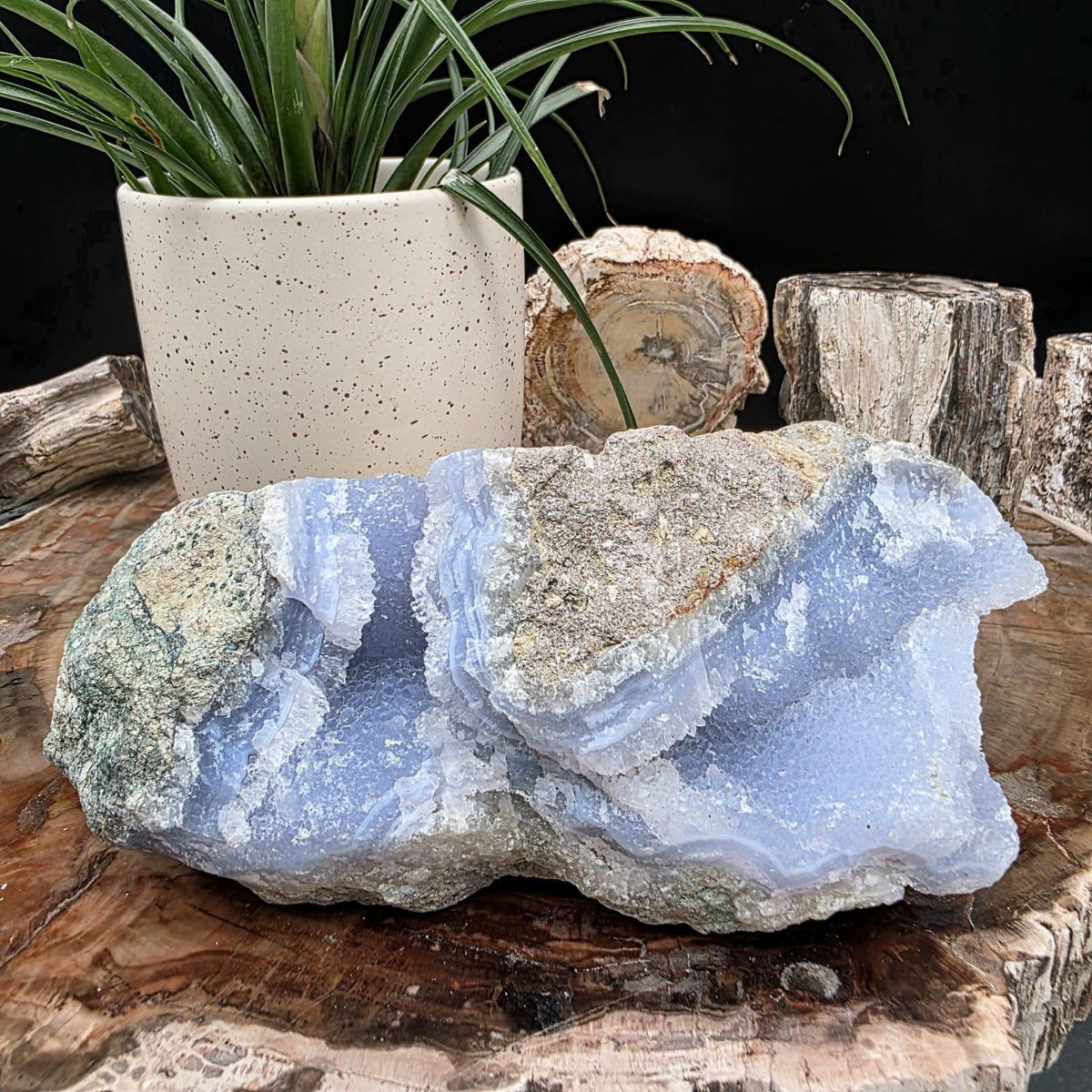 Large blue lace agate geode with druzy crystal hollow | raw natural crystal #15