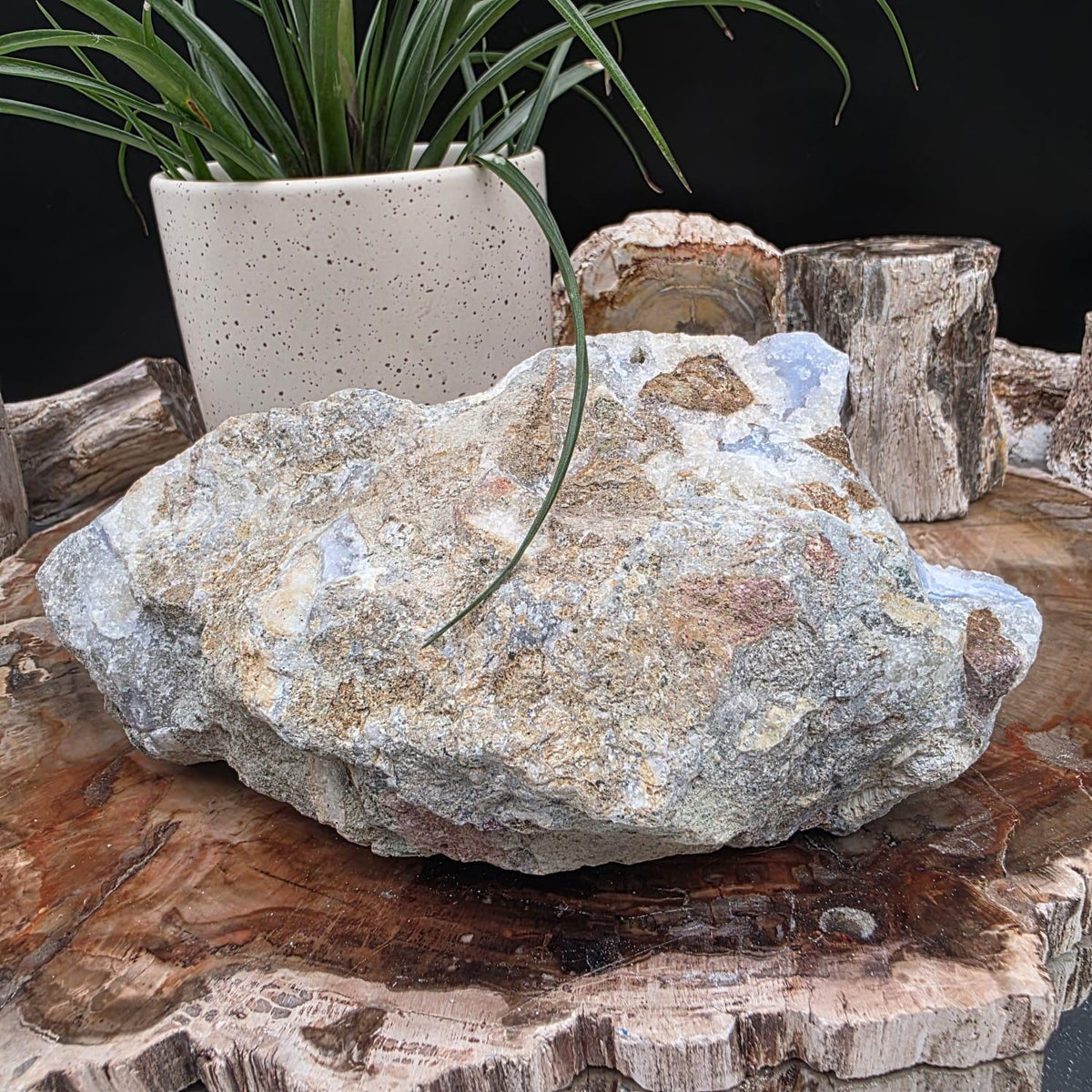 Large blue lace agate geode with druzy crystal hollow | raw natural crystal #15