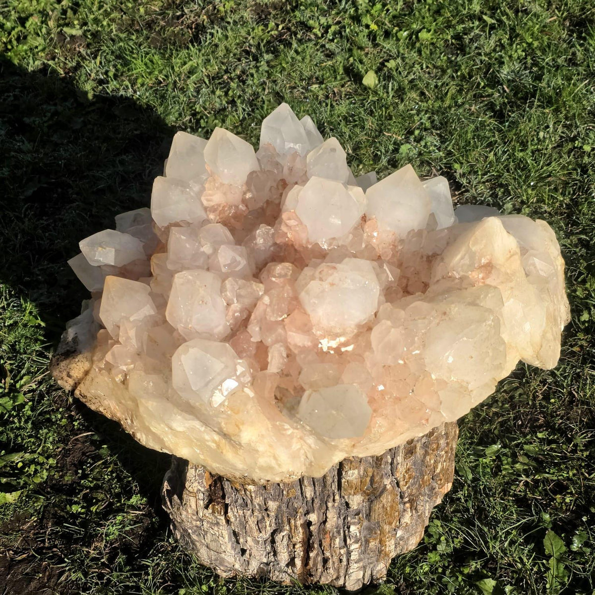 XXL Pink Quartz Crystal Cluster | Large Natural Quartz Collector Specimen | 33.85kg