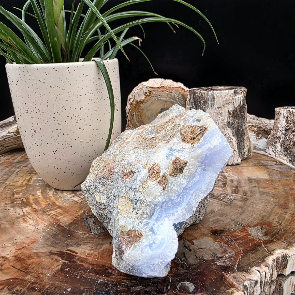 Large blue lace agate geode with druzy crystal hollow | raw natural crystal #15