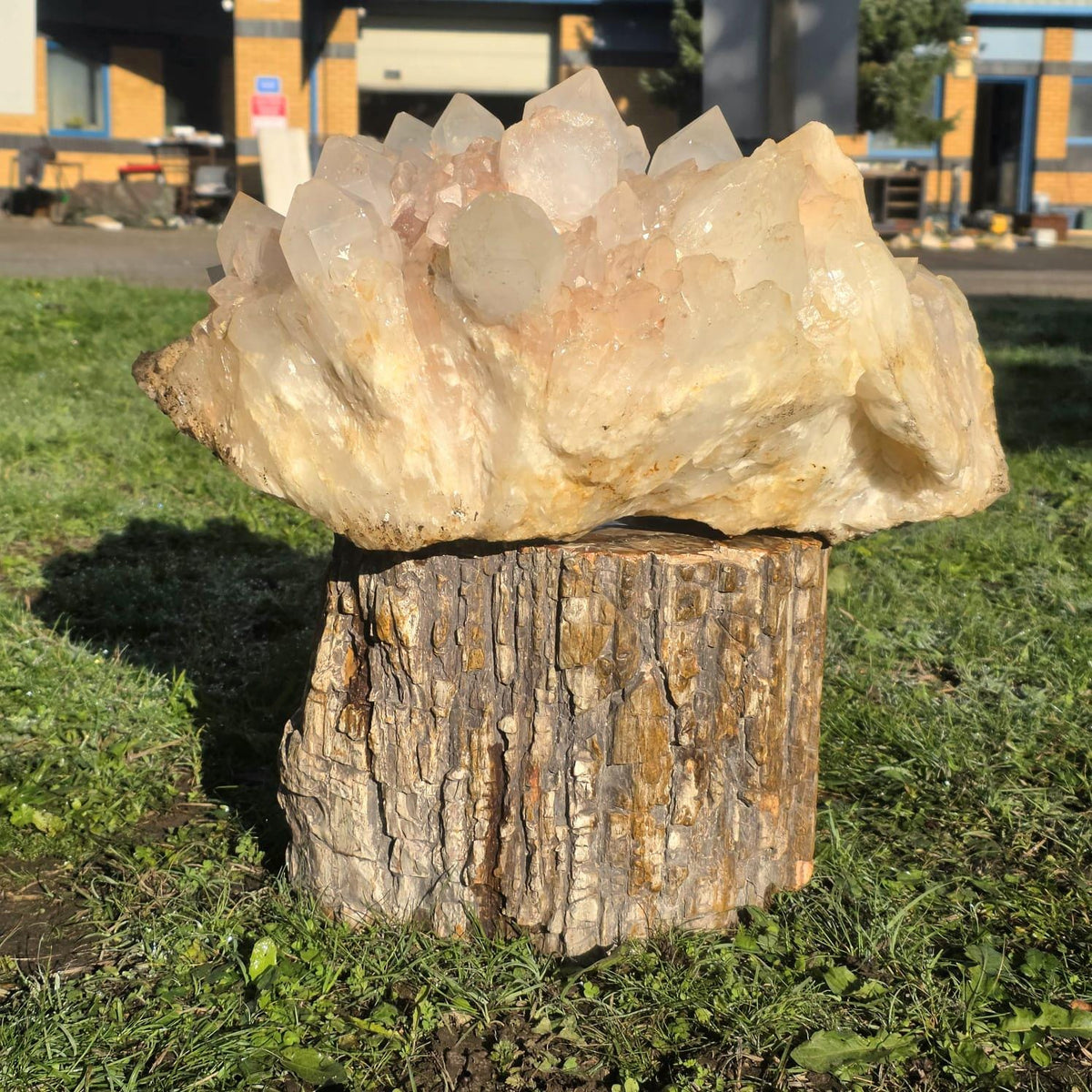 XXL Pink Quartz Crystal Cluster | Large Natural Quartz Collector Specimen | 33.85kg