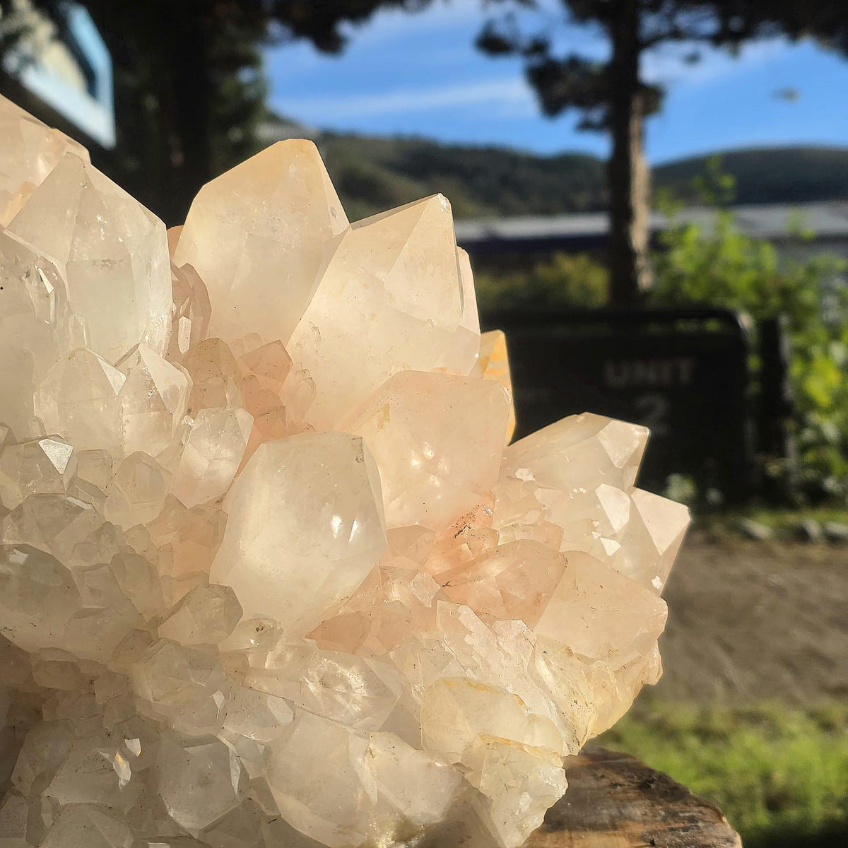 XXL Pink Quartz Crystal Cluster | Large Natural Quartz Collector Specimen | 33.85kg