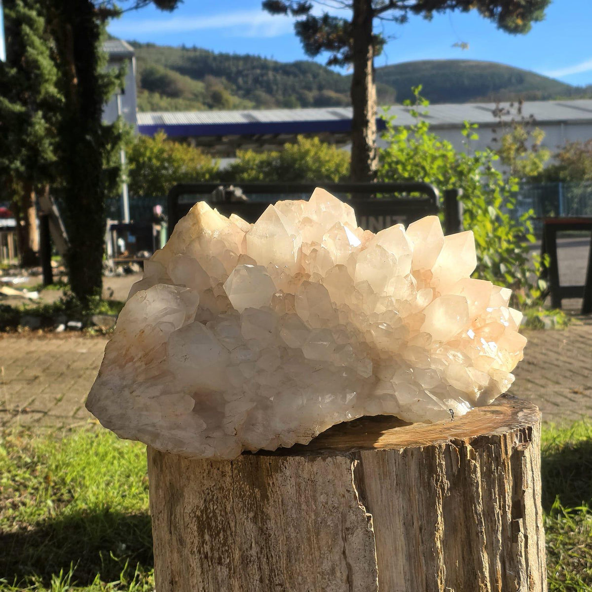 XXL Pink Quartz Crystal Cluster | Large Natural Quartz Collector Specimen | 33.85kg