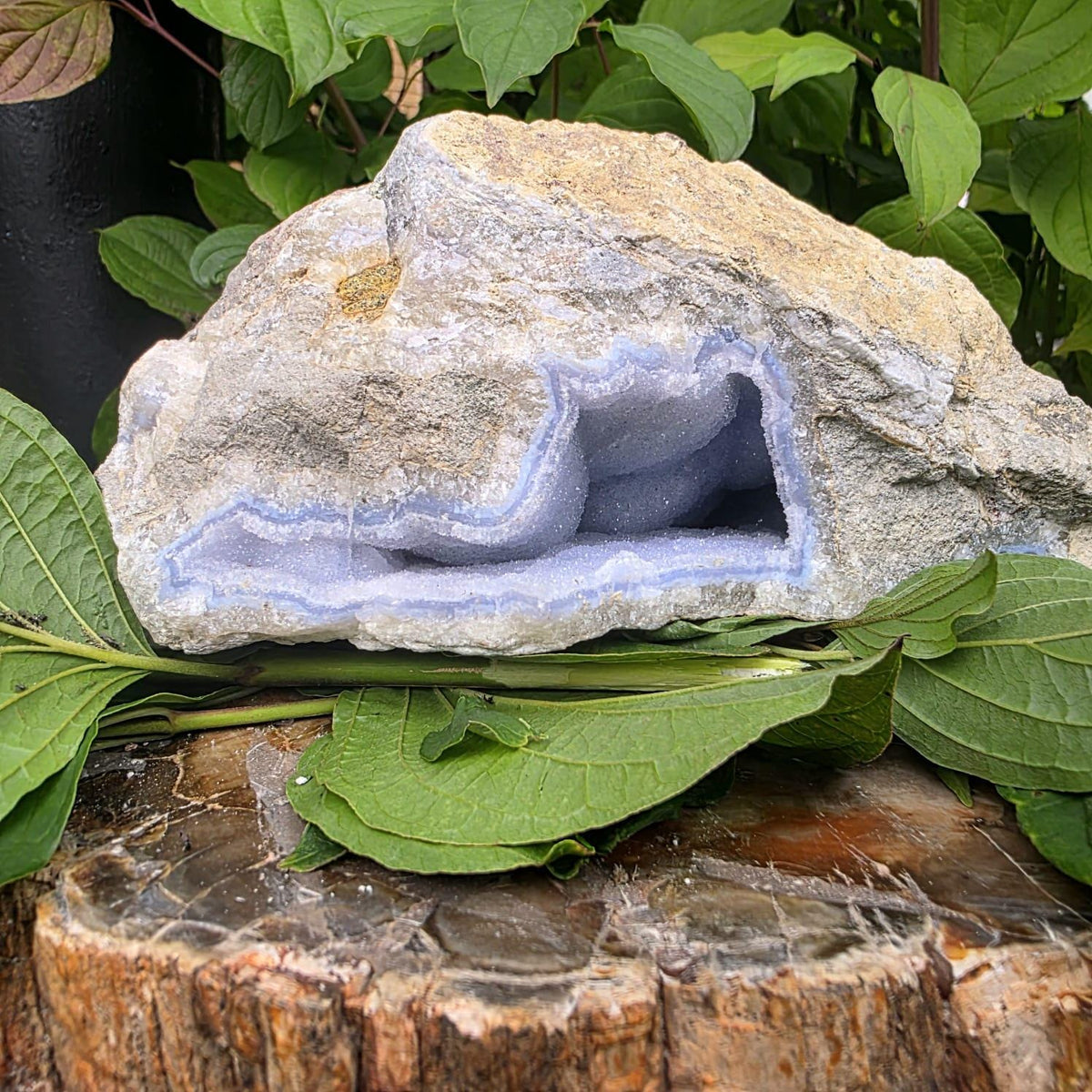 Raw blue lace agate geode with druzy crystal hollow | large natural crystal #1