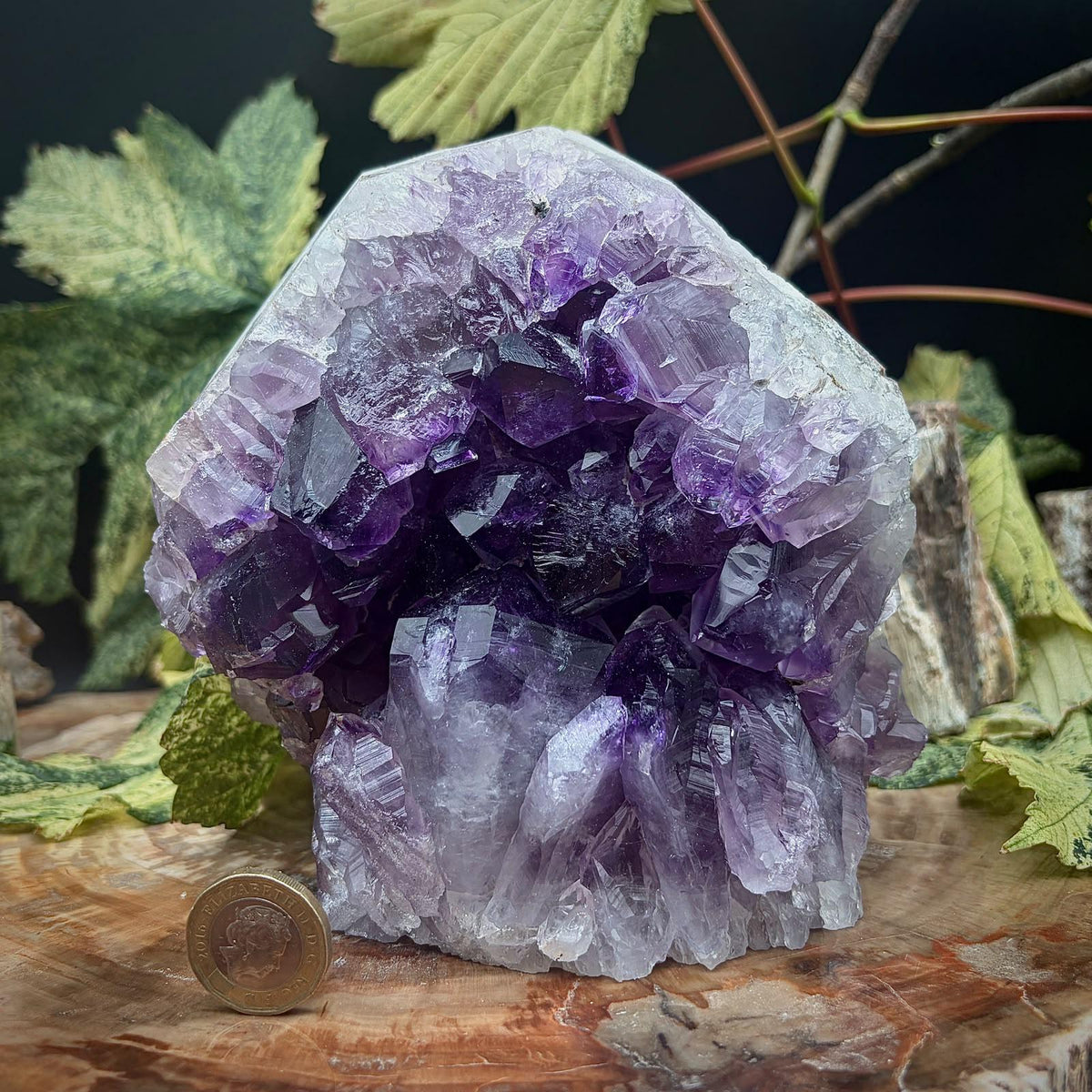 Large Amethyst Crystal Geode Cutbase | Freestanding Crystal Display | ACB1