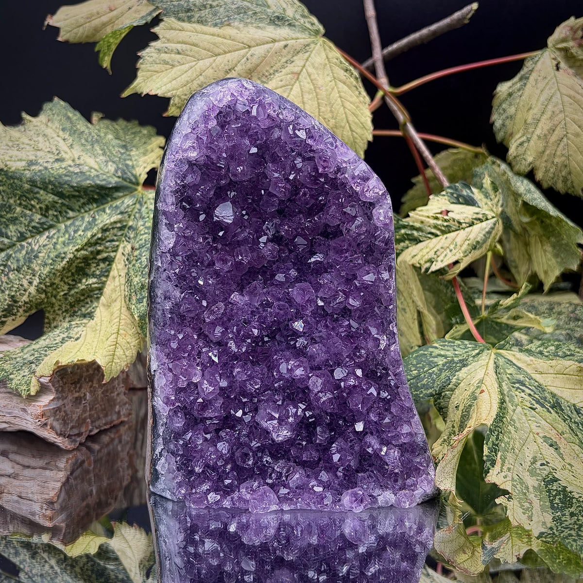 High-grade uruguayan amethyst crystal geode cut base | amu-93