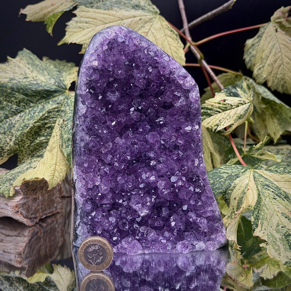 High-grade uruguayan amethyst crystal geode cut base | amu-93