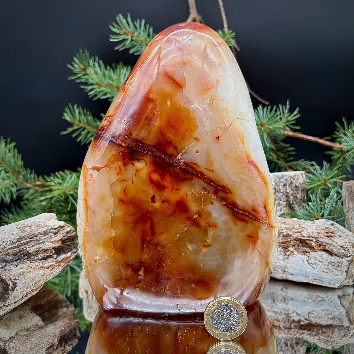 Carnelian with Quartz Freeform | 1.65kg Polished Crystal | Large Natural Mineral Statement Piece (#3)