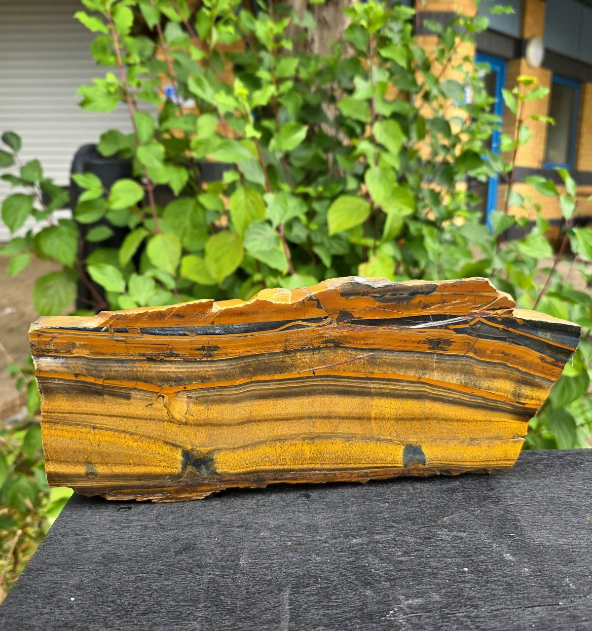 XXL Tiger's Eye Crystal Slice | Polished Specimen | 2.56kg