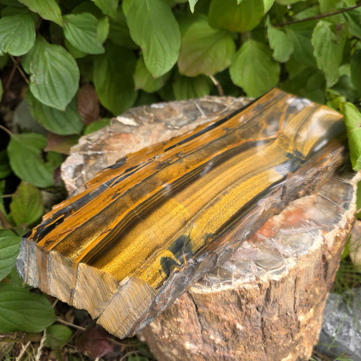 XXL Tiger's Eye Crystal Slice | Polished Specimen | 2.56kg