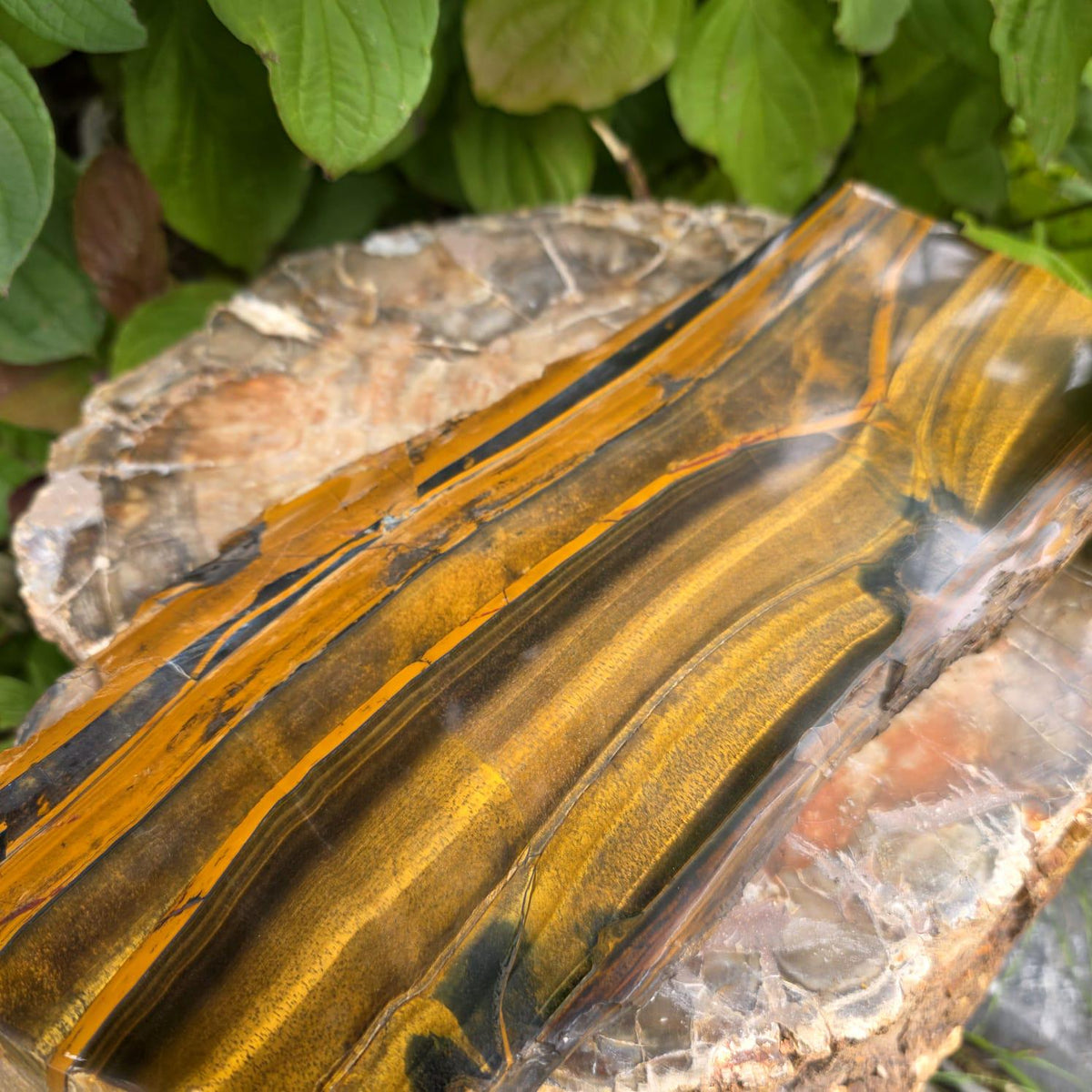 XXL Tiger's Eye Crystal Slice | Polished Specimen | 2.56kg