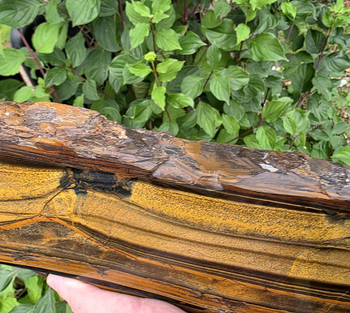 XXL Tiger's Eye Crystal Slice | Polished Specimen | 2.56kg