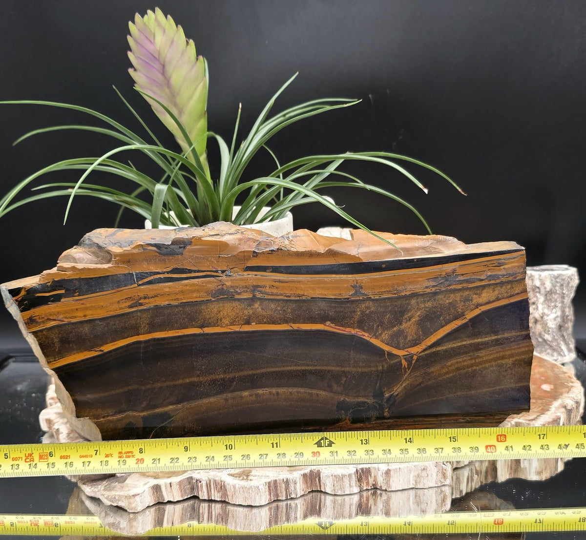 XXL Tiger's Eye Crystal Slice | Polished Specimen | 2.56kg