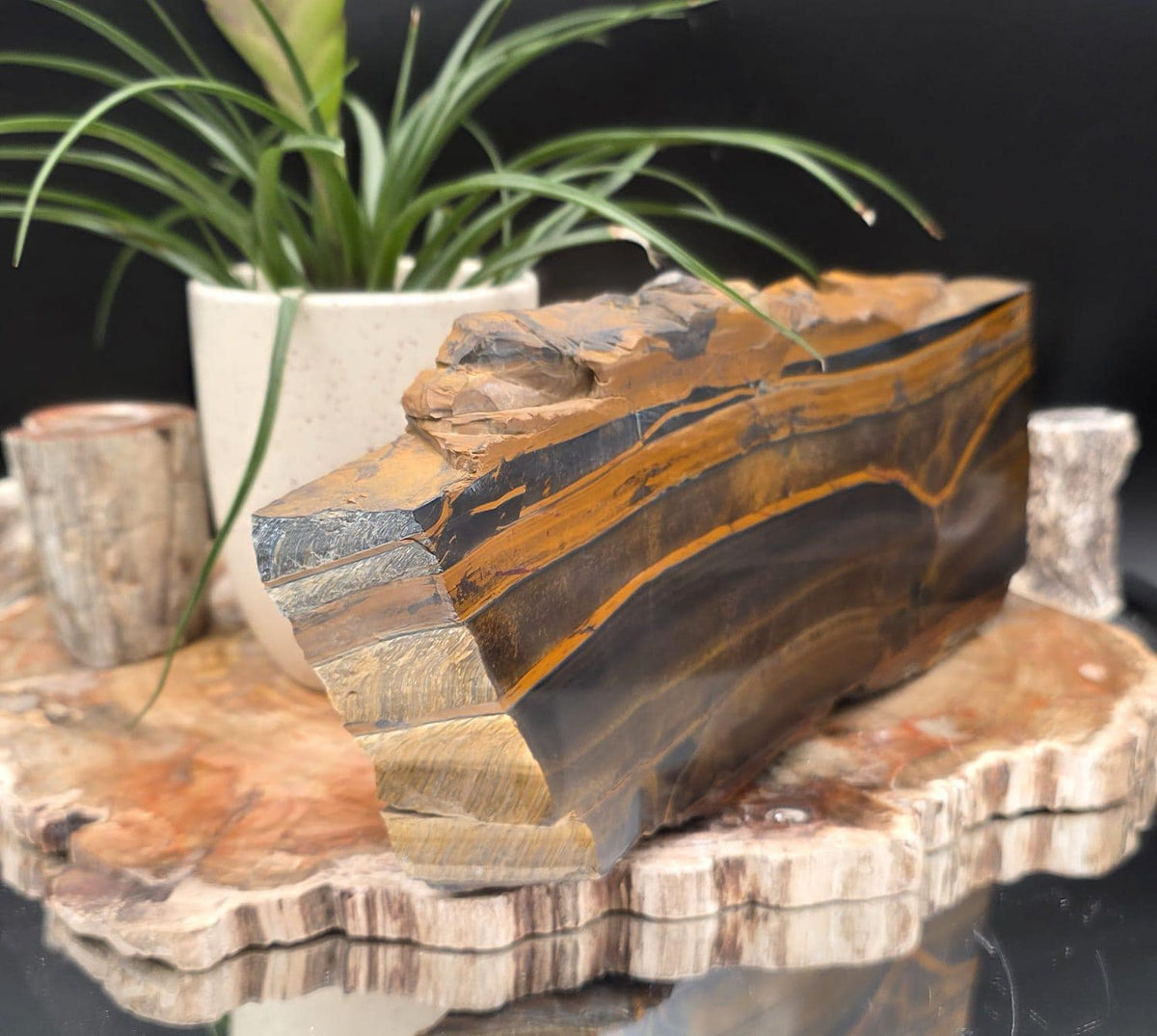 XXL Tiger's Eye Crystal Slice | Polished Specimen | 2.56kg