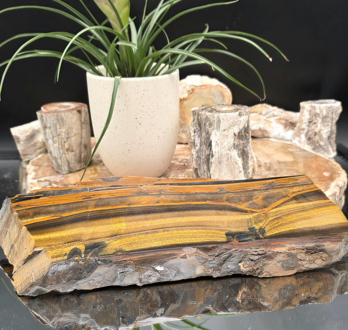 XXL Tiger's Eye Crystal Slice | Polished Specimen | 2.56kg