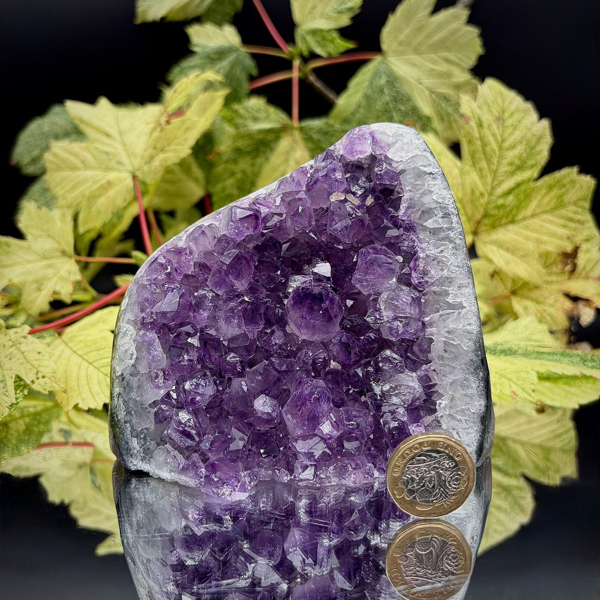 Uruguayan amethyst crystal geode cut base | High-Grade | amu-36