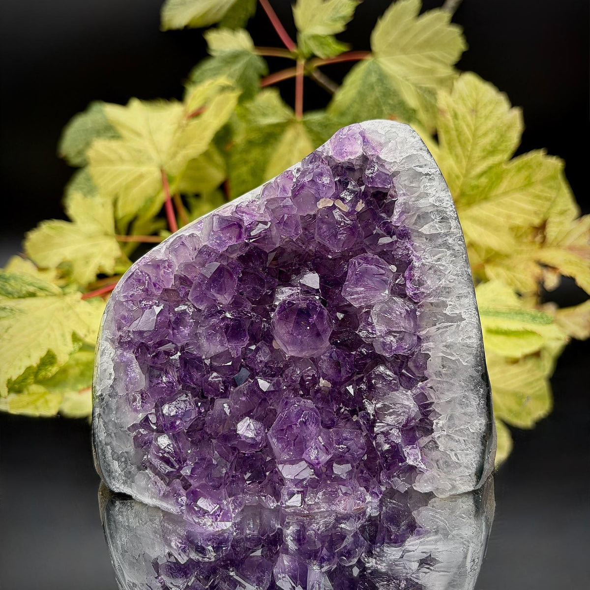 Uruguayan amethyst crystal geode cut base | High-Grade | amu-36