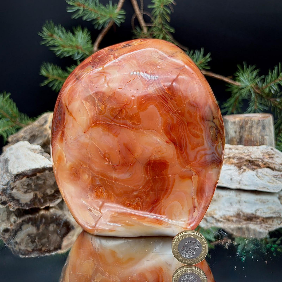 Large Carnelian Freeform | 3.16kg Polished Crystal | Natural Home Decor (#4)