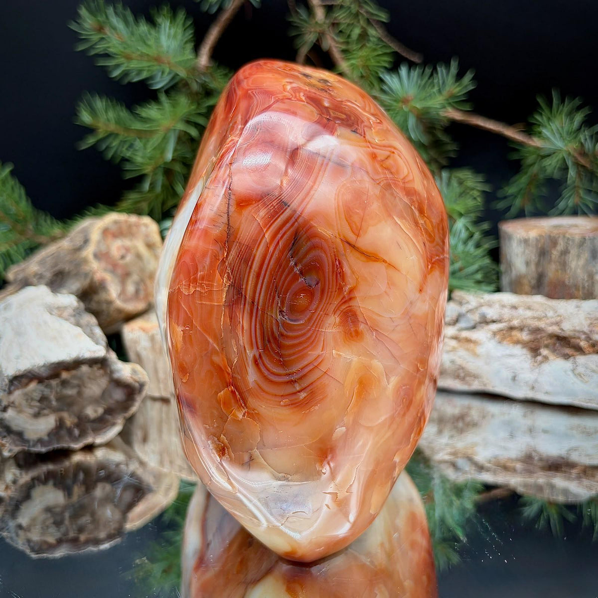 Large Carnelian Freeform | 3.16kg Polished Crystal | Natural Home Decor (#4)