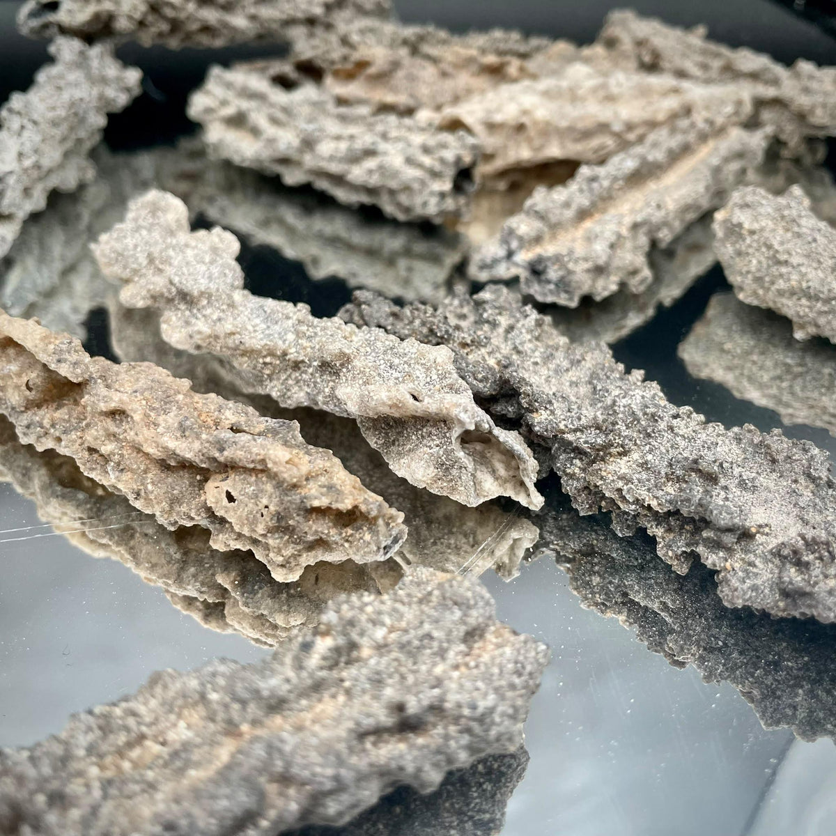 Natural Fulgurite Lightning Glass | Libyan Desert Petrified Lightning Specimen | 8–10cm
