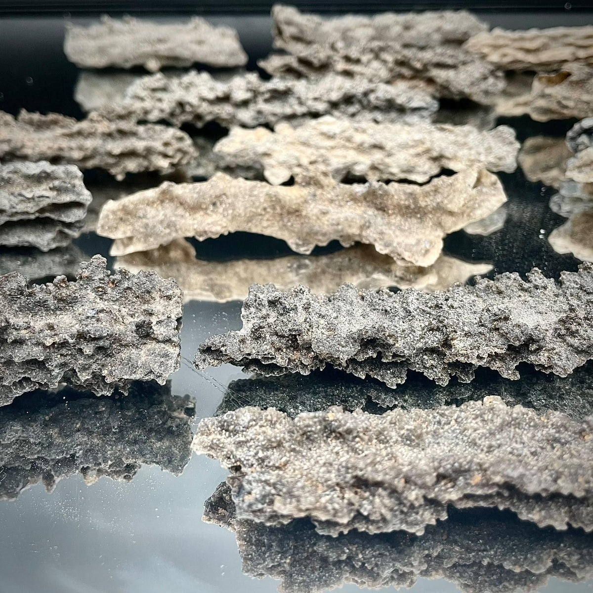 Natural Fulgurite Lightning Glass | Libyan Desert Petrified Lightning Specimen | 8–10cm