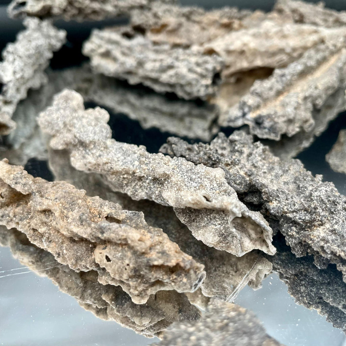Natural Fulgurite Lightning Glass | Libyan Desert Petrified Lightning Specimen | 8–10cm