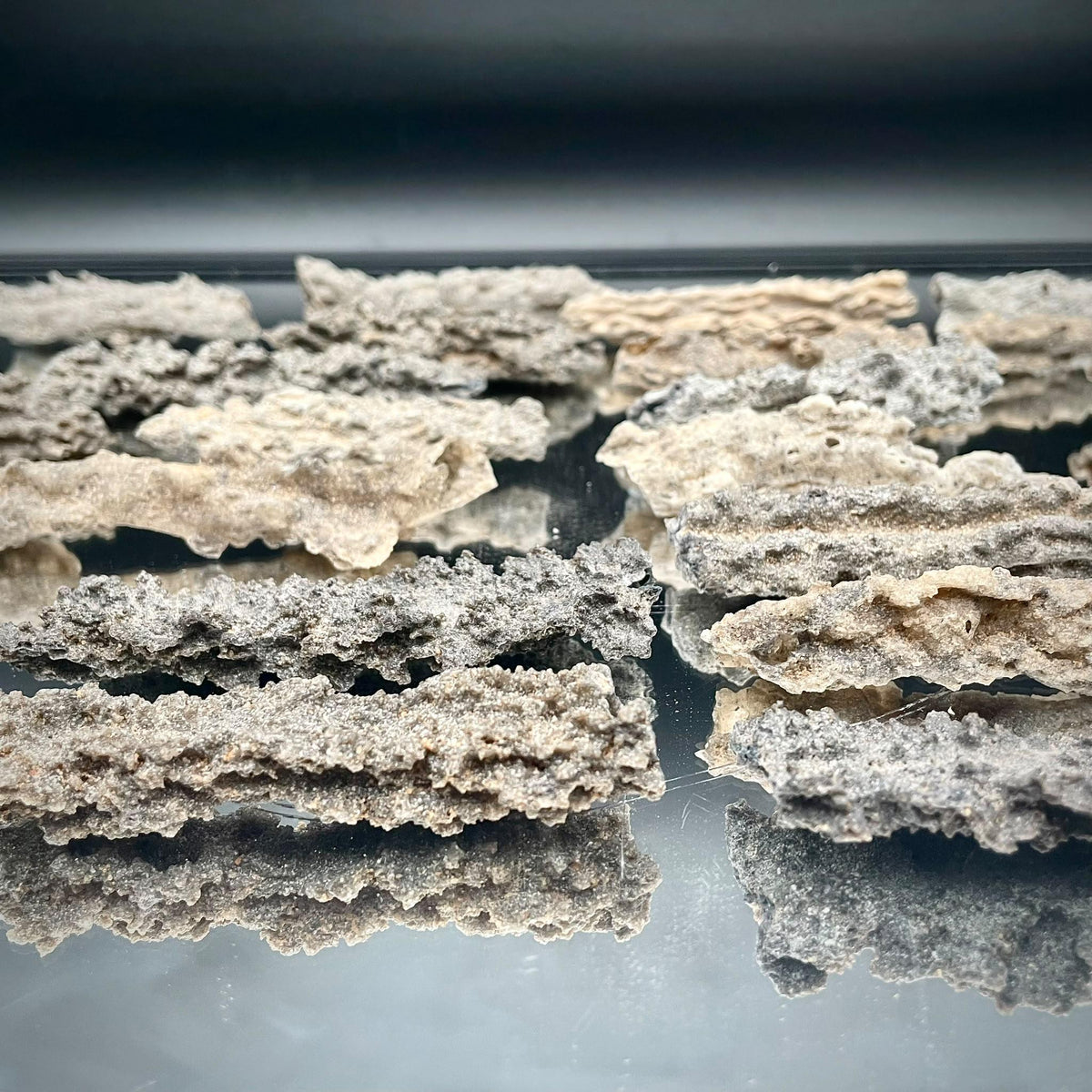 Natural Fulgurite Lightning Glass | Libyan Desert Petrified Lightning Specimen | 8–10cm
