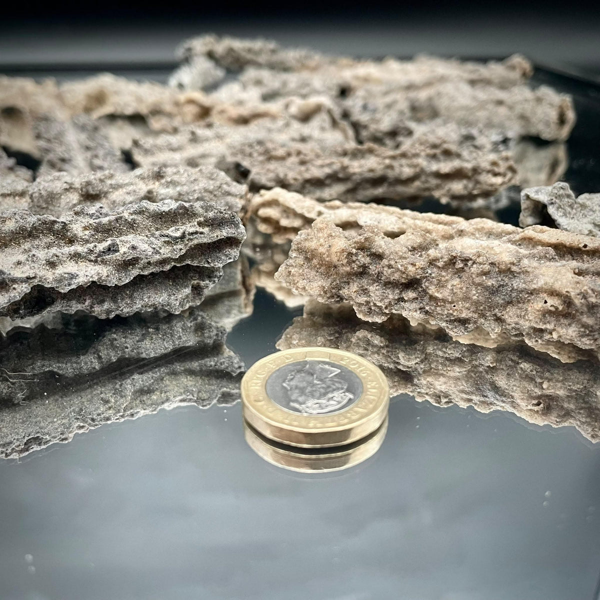 Natural Fulgurite Lightning Glass | Libyan Desert Petrified Lightning Specimen | 8–10cm