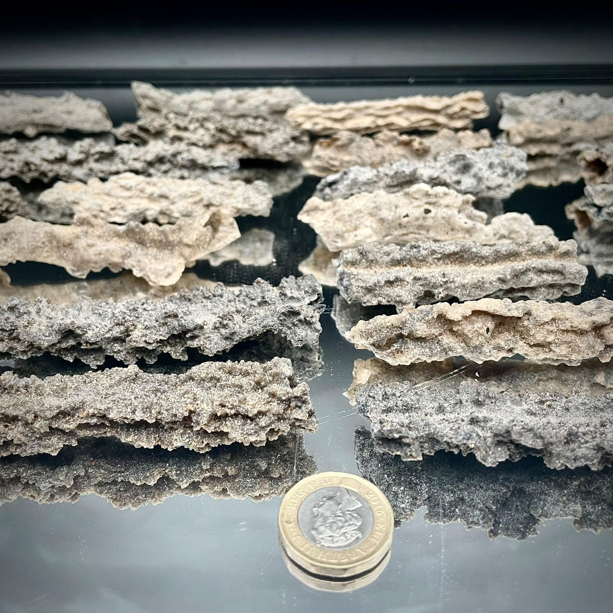 Natural Fulgurite Lightning Glass | Libyan Desert Petrified Lightning Specimen | 8–10cm