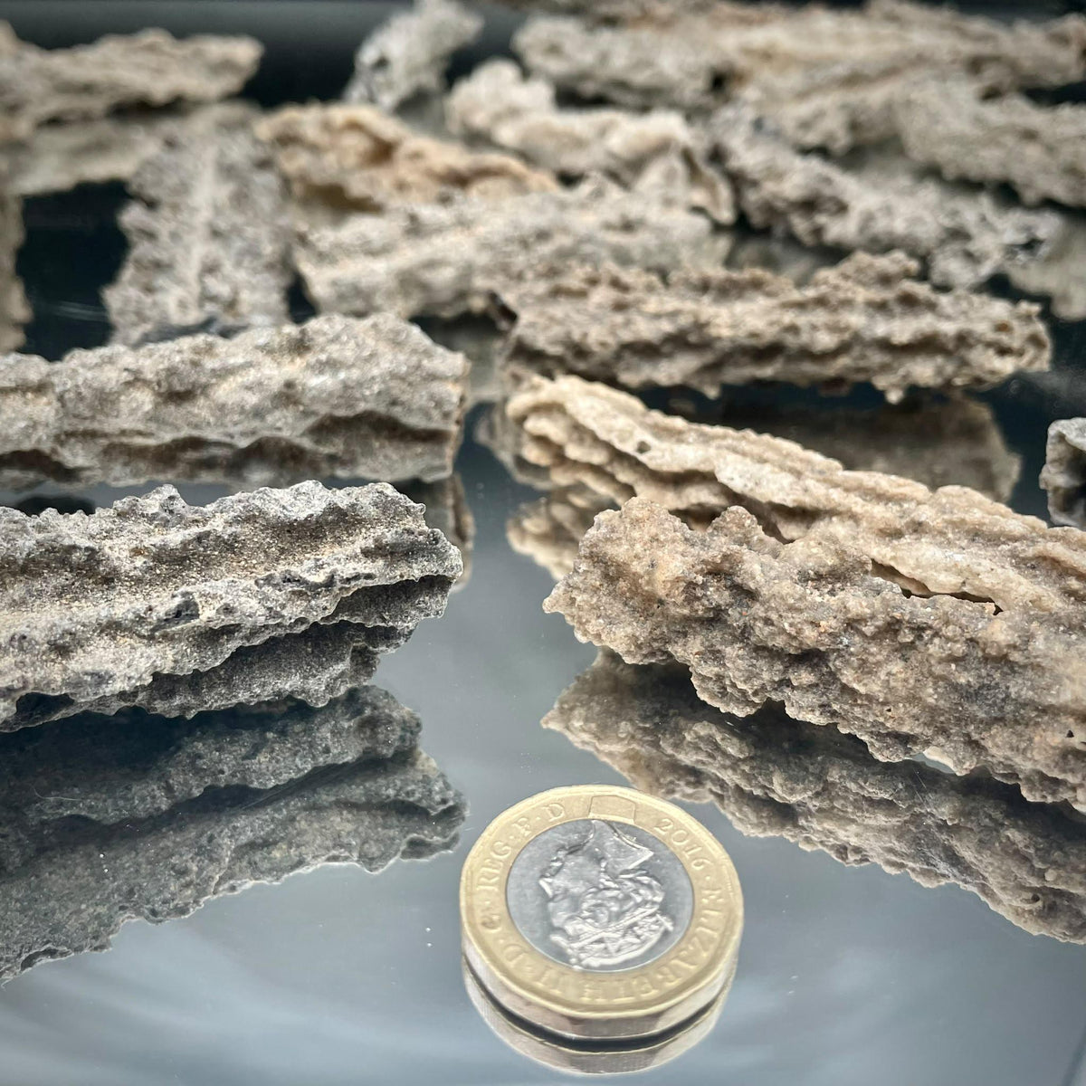 Natural Fulgurite Lightning Glass | Libyan Desert Petrified Lightning Specimen | 8–10cm