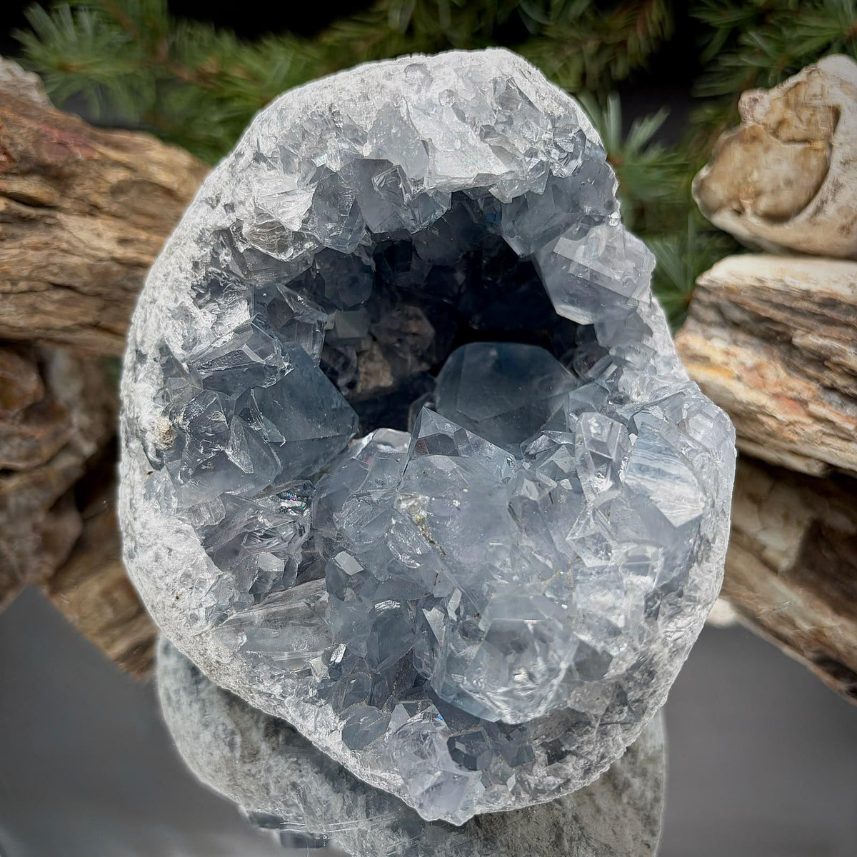 Celestite Geode Crystal Cluster | Large 1.93kg Blue Celestine | #44