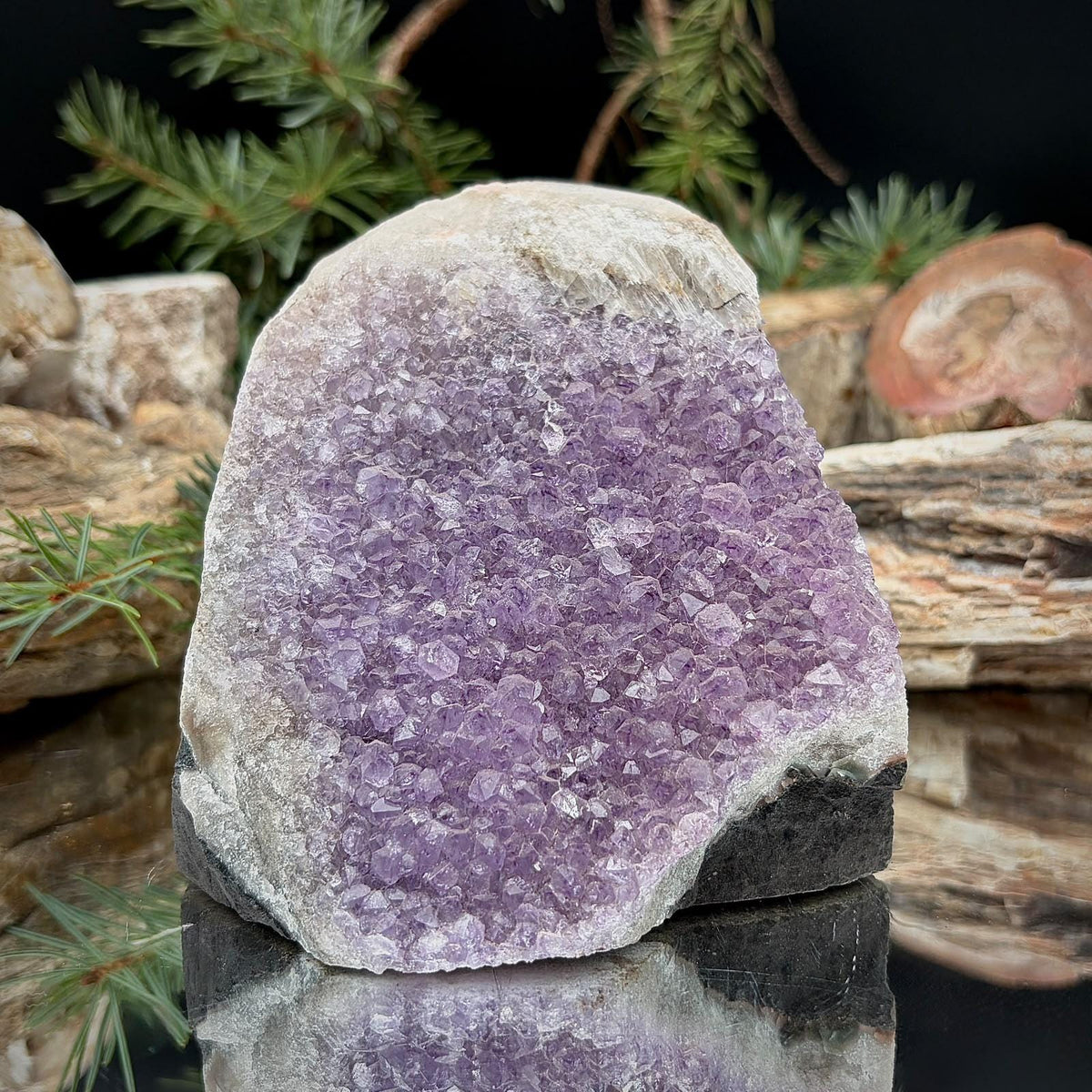 Amethyst Crystal Geode Cutbase | Freestanding Crystal Display | ACB-59