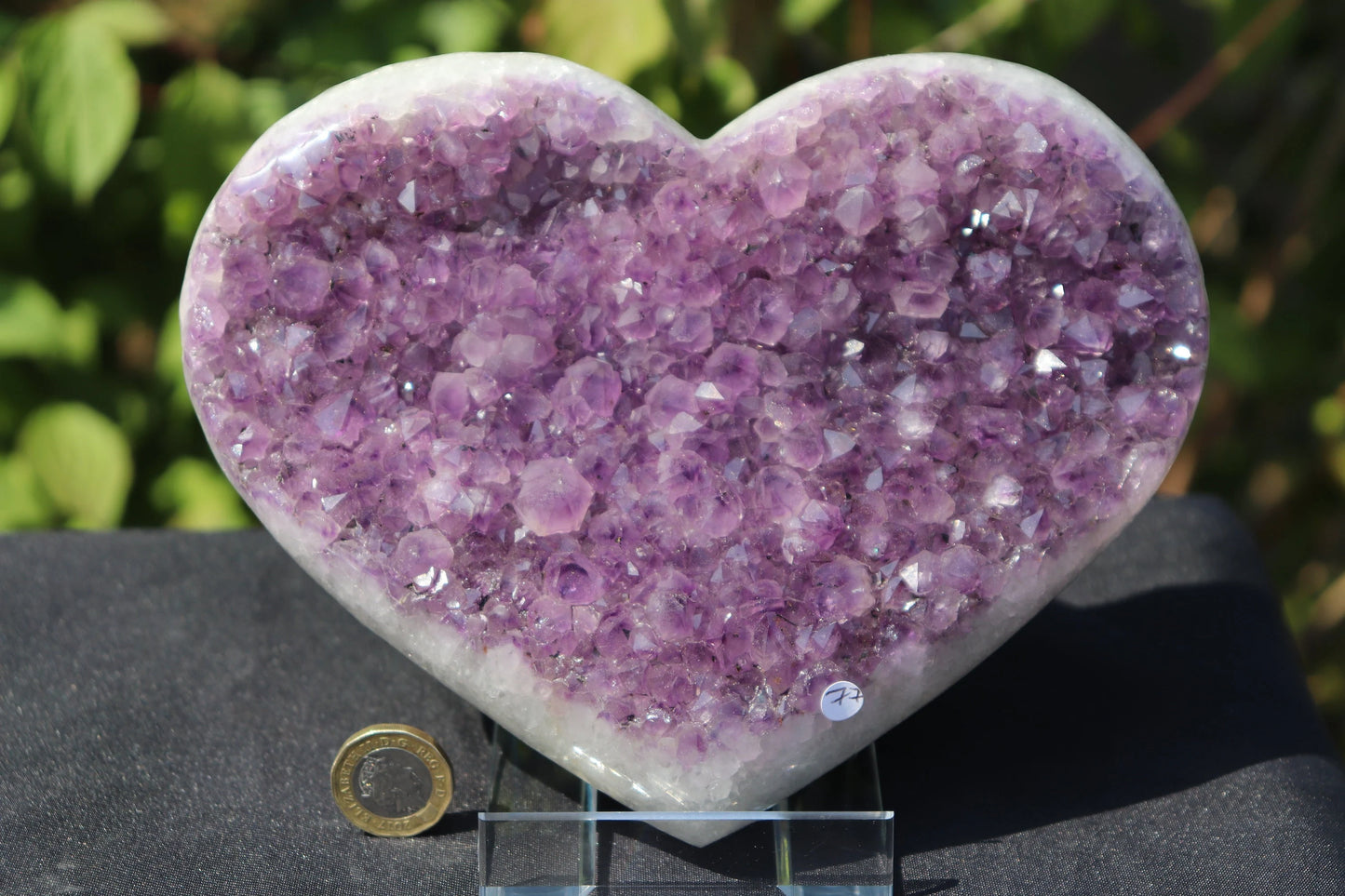 Extra Large Clear Crystal & Mineral Display Stand