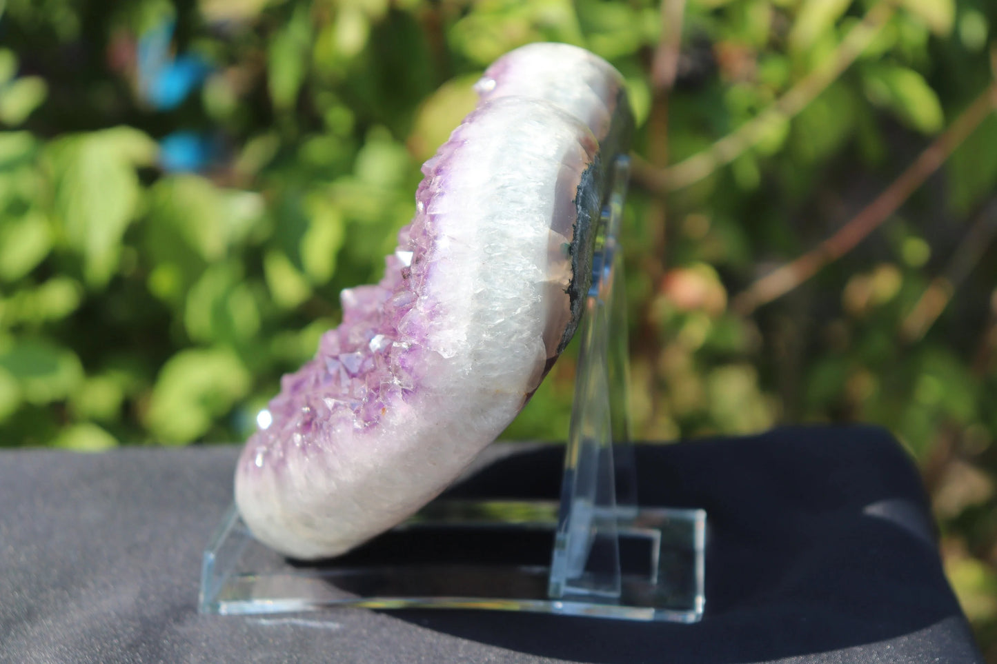 Extra Large Clear Crystal & Mineral Display Stand