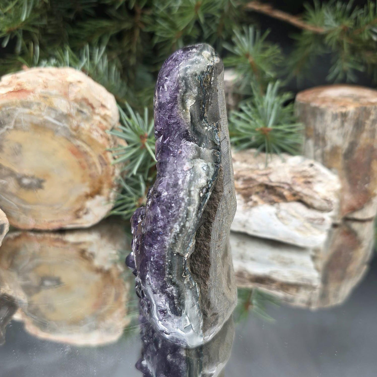 High-grade Amethyst specimen for a mineral collection cabinet.