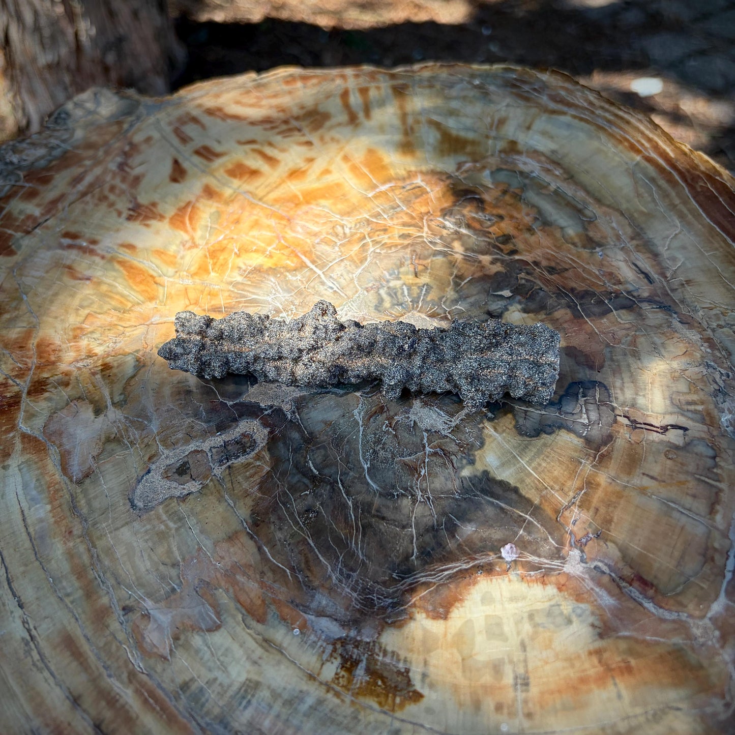 Close-up showing the sandy exterior and natural glass-like texture of Fulgurite.
