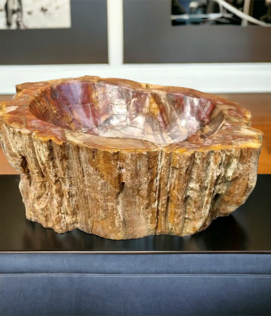 xtra Large Petrified Wood Bowl  35 KG Unique Home Decor Natural Art