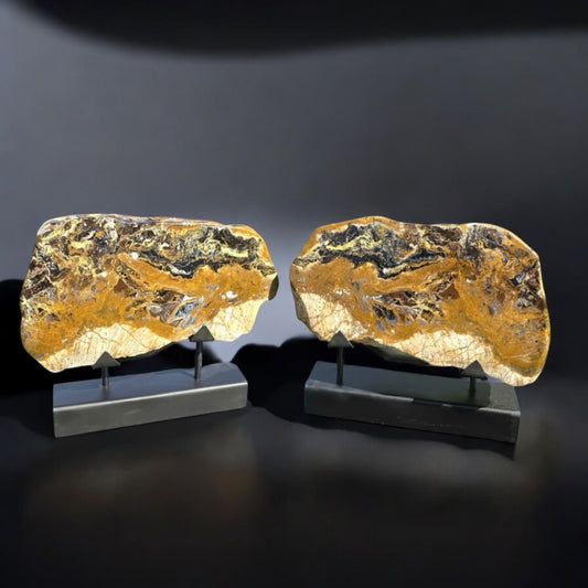 Giant pietersite crystal  pair on stand