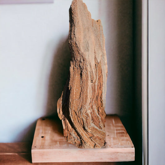 Large Fossil Wood Quartz Crystal Druze Rare Petrified Wood Permineralized