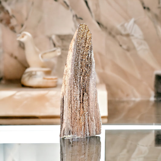 Fossil Wood Quartz Crystal Druze Rare Petrified Wood Germany (#13)