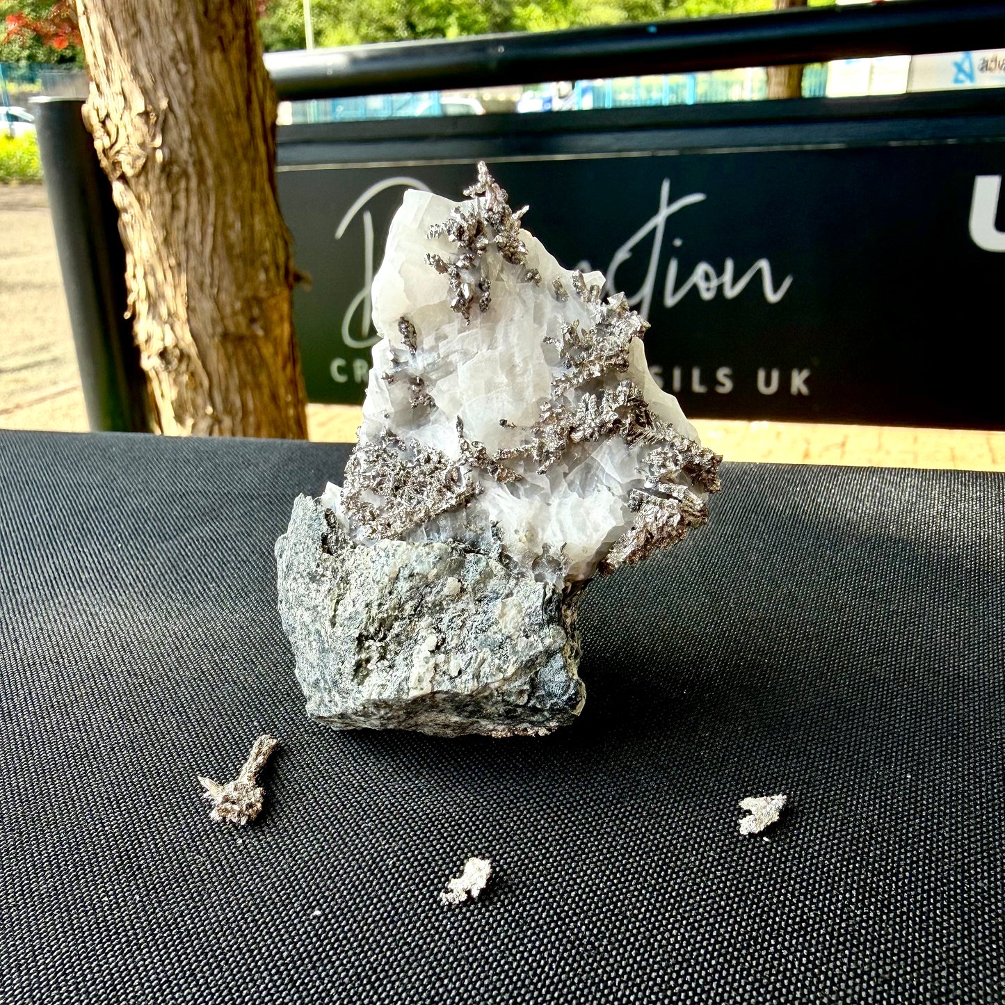 Natural Native Silver on Calcite Matrix | Collectors Mineral Specimen (B1 #6)