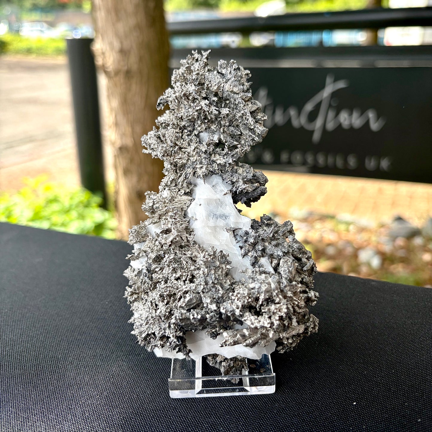 Natural Native Silver on Calcite Matrix | Collectors Mineral Specimen (B2 #1)