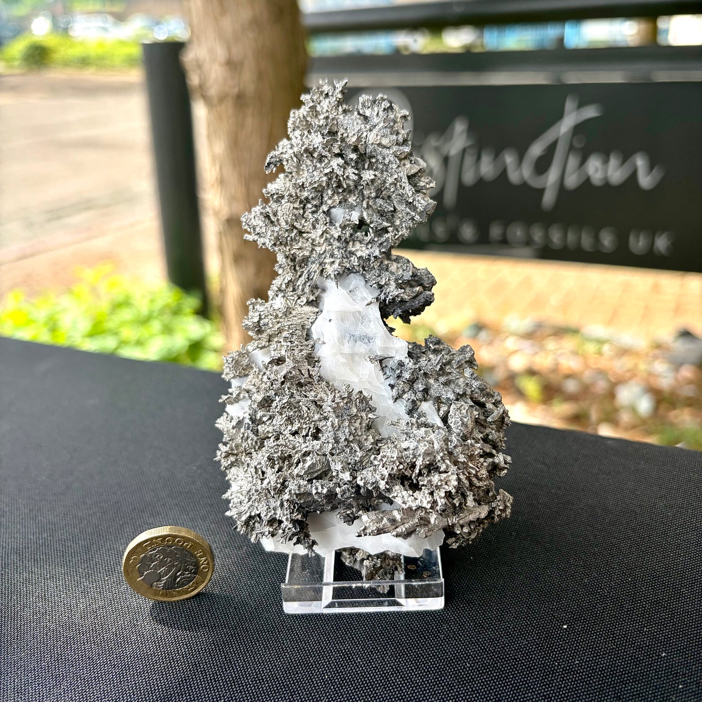 Natural Native Silver on Calcite Matrix | Collectors Mineral Specimen (B2 #1)