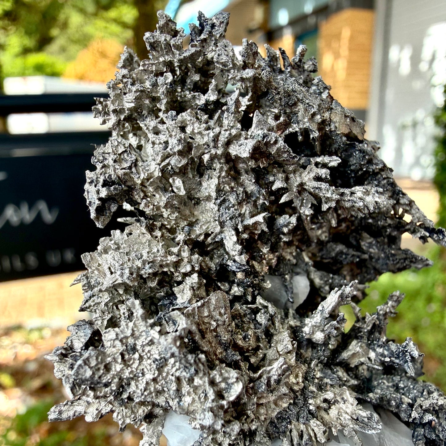 Natural Native Silver on Calcite Matrix | Collectors Mineral Specimen (B2 #1)