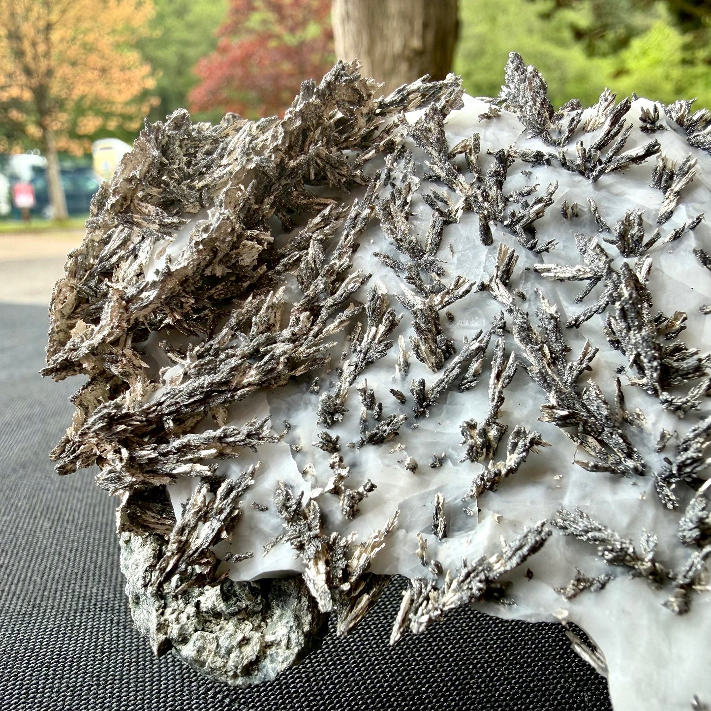 Natural Native Silver on Calcite Matrix | Collectors Mineral Specimen (B3 #1)